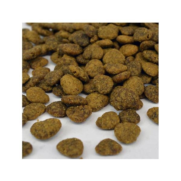Benevo store puppy food